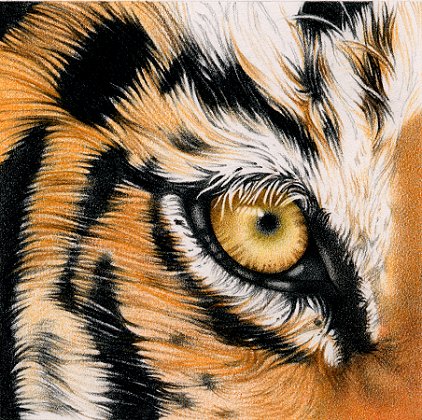 คตไม้สัก หินตาเสือ ไทเกอร์อาย (Tiger's Eye) - 5