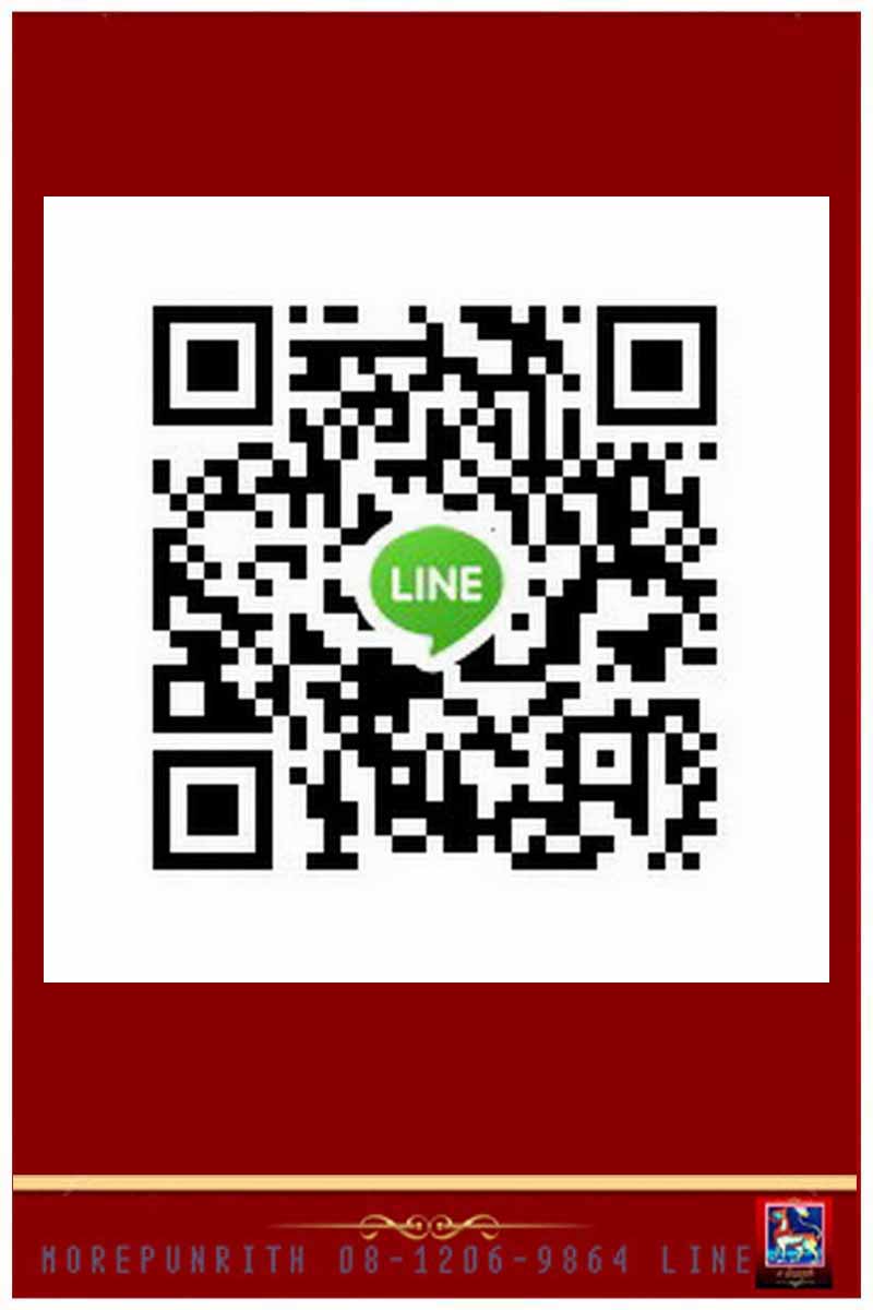 เหรียญไอ้ไข่(เด็กวัดเจดีย์) เนื้อทองแดงรมดำ จังหวัดนครศรีธรรมราช - 5