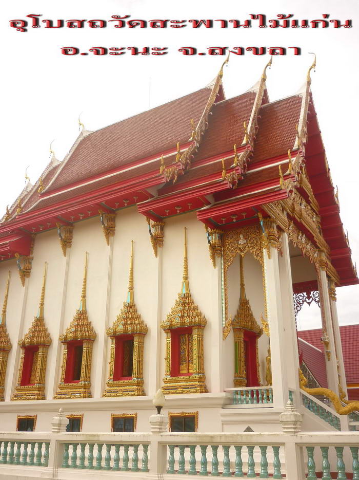 ศูนย์พระเครื่องใหญ่ที่สุดในฝั่งธนฯ ชมรมพระเครื่องเทสโก้โลตัส ปิ่นเกล้า ชั้น ๕ - 4