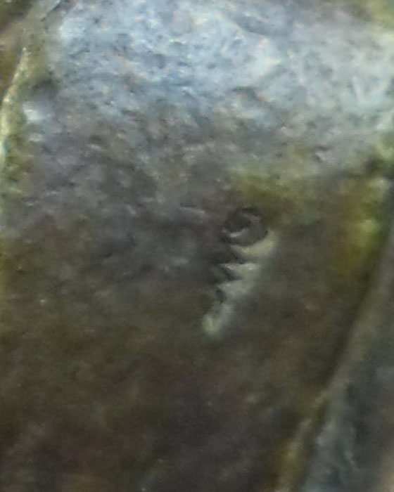 รูปเหมือน หลวงปู่หมุน ฐิตสีโล รุ่นมหาสมปรารถนา เนื้อทองแดง ตอกโค๊ตติดจีวรไม่อุดผง สร้าง ปี ๒๕๕๓(๔) - 4