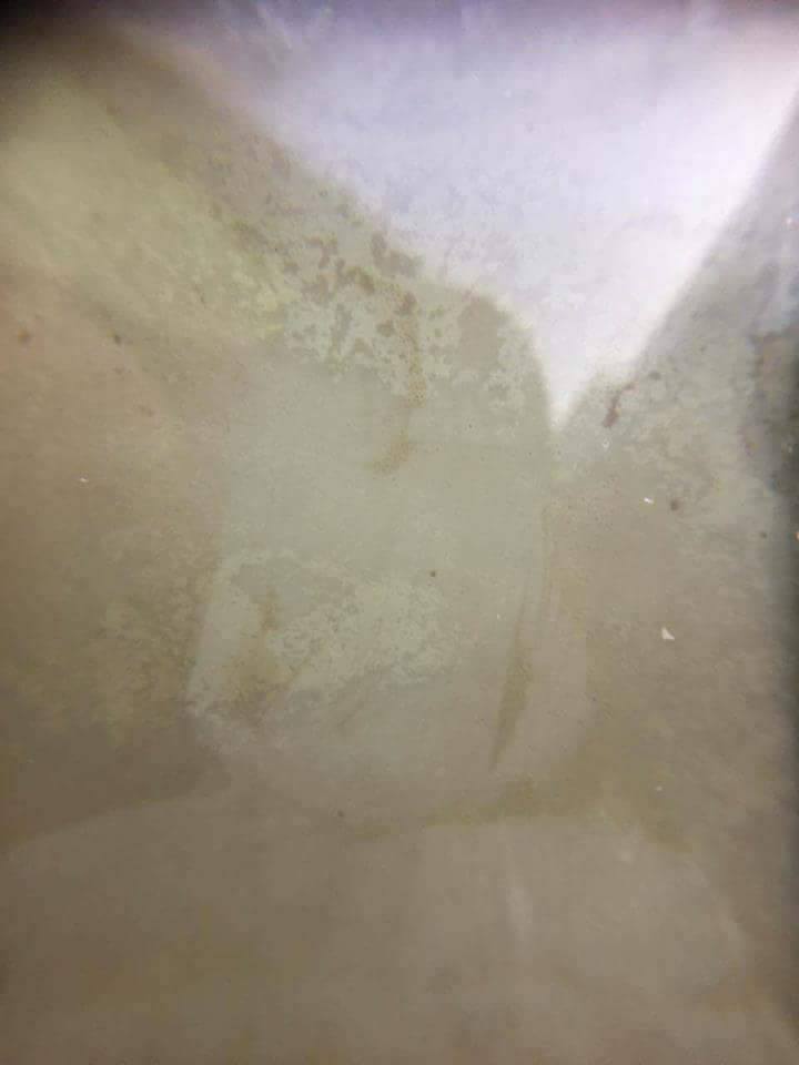 ภาพถ่ายรุ่นแรก หลังปั็มตราสิงห์ หลวงพ่อกวย วัดโฆสิตาราม พิมพ์ไม่มีขมวด - 3
