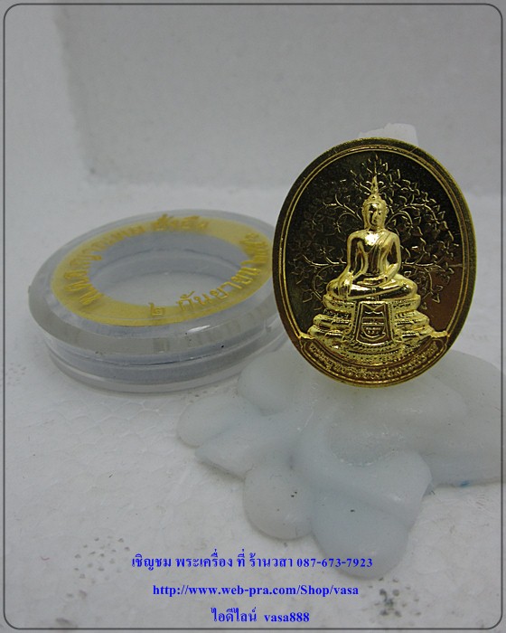 เหรียญพระพุทธวิชัยอภัยมารนิราศ DSI เนื้อทองแดงกะไหล่ทอง ปี 2556 - 3