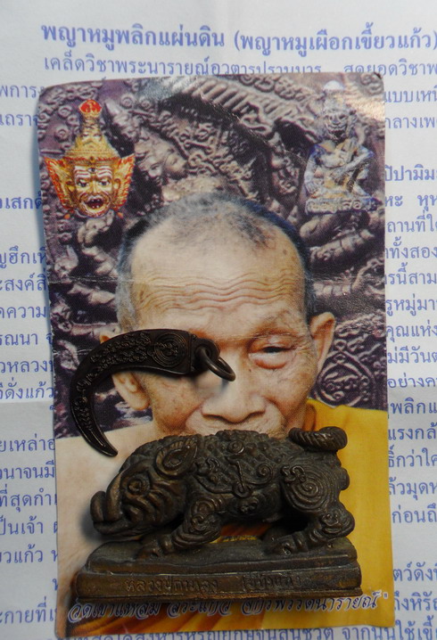 พญาหมูพลิกแผ่นดิน เนื้อนวะโลหะ รุ่นสอง ปี ๕๐ หลวงปู่กาหลง เขี้ยวแก้ว - 4