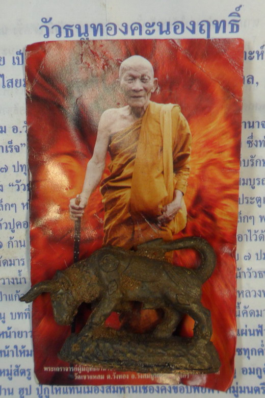 วัวธนูทองคะทองฤทธิ์ เนื้อสัมฤทธิ์เทดินไท ปี ๕๑ หลวงปู่กาหลง เขี้ยวแก้ว - 5