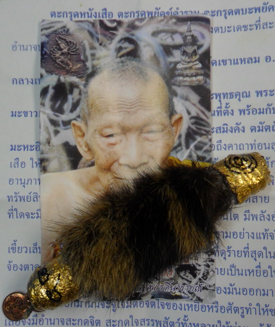 ตะกรุดหนังเสือ (พยัคฆ์คำราม) หลวงปู่กาหลง เขี้ยวแก้ว วัดเขาแหลม - 2