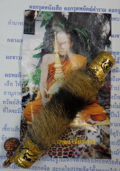 ตะกรุดหนังเสือ (พยัคฆ์คำราม) หลวงปู่กาหลง เขี้ยวแก้ว วัดเขาแหลม - 3