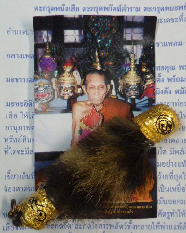 ตะกรุดหนังเสือ (พยัคฆ์คำราม) หลวงปู่กาหลง เขี้ยวแก้ว วัดเขาแหลม หมายเลข ๙๑๐ - 3