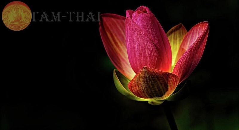 พระถ้ำเสือ พิมพ์เล็ก หน้าแก่ สุพรรณบุรี - 3