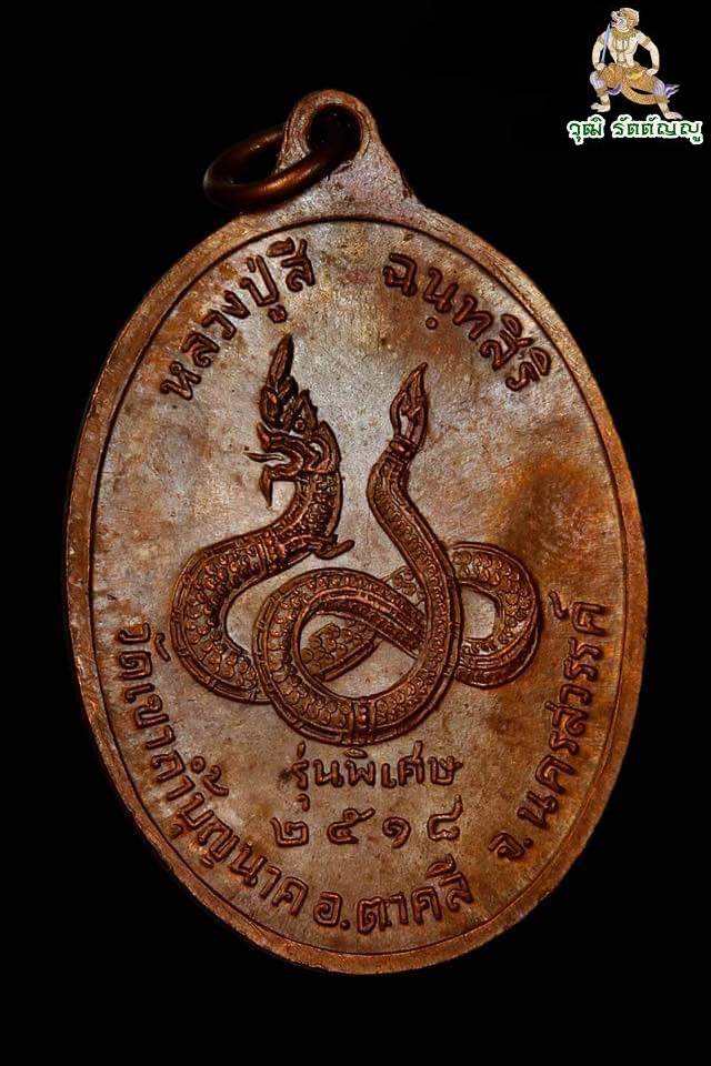 เหรียญพญานาค หลวงปู่สี ฉันทสิริ วัดเขาถ้ำบุญนาค ปี2518  - 2