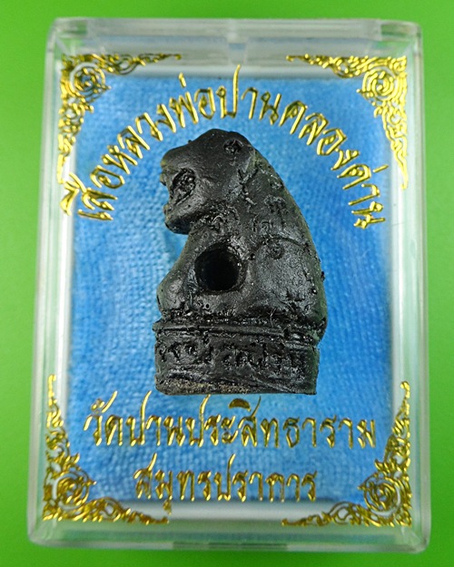 เสือหลวงปู่ปาน คลองด่าน - 5