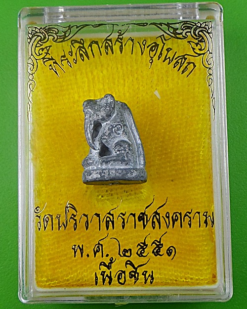 เสือเขี้ยวดาบ(จิ๋ว)วัดปริวาสราชสงคราม - 4