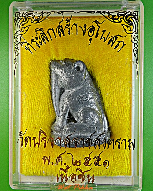 เสือเขี้ยวดาบ(ใหญ่)วัดปริวาสราชสงคราม - 5