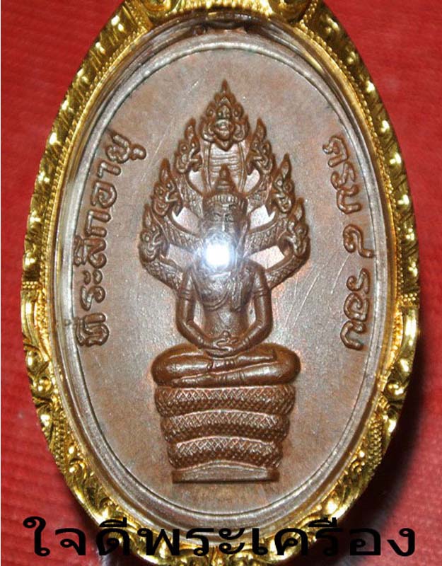 ปรก 8 รอบ "หลวงปู่ทิม" แขนจุด อุใหญ่ สายฝน  - 5