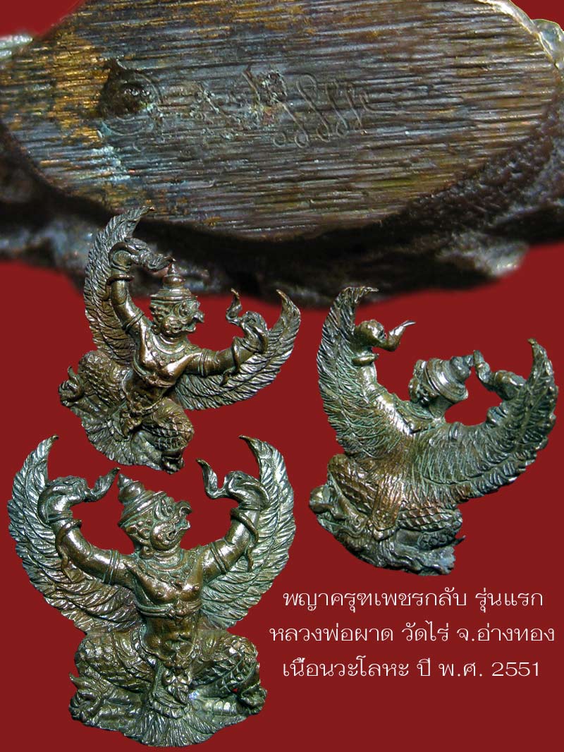 (8) พญาครุฑ รุ่น 1 (เนื้อนวโลหะ) หลวงปู่ผาด วัดไร่ อ่างทอง พ.ศ.2551 - 5