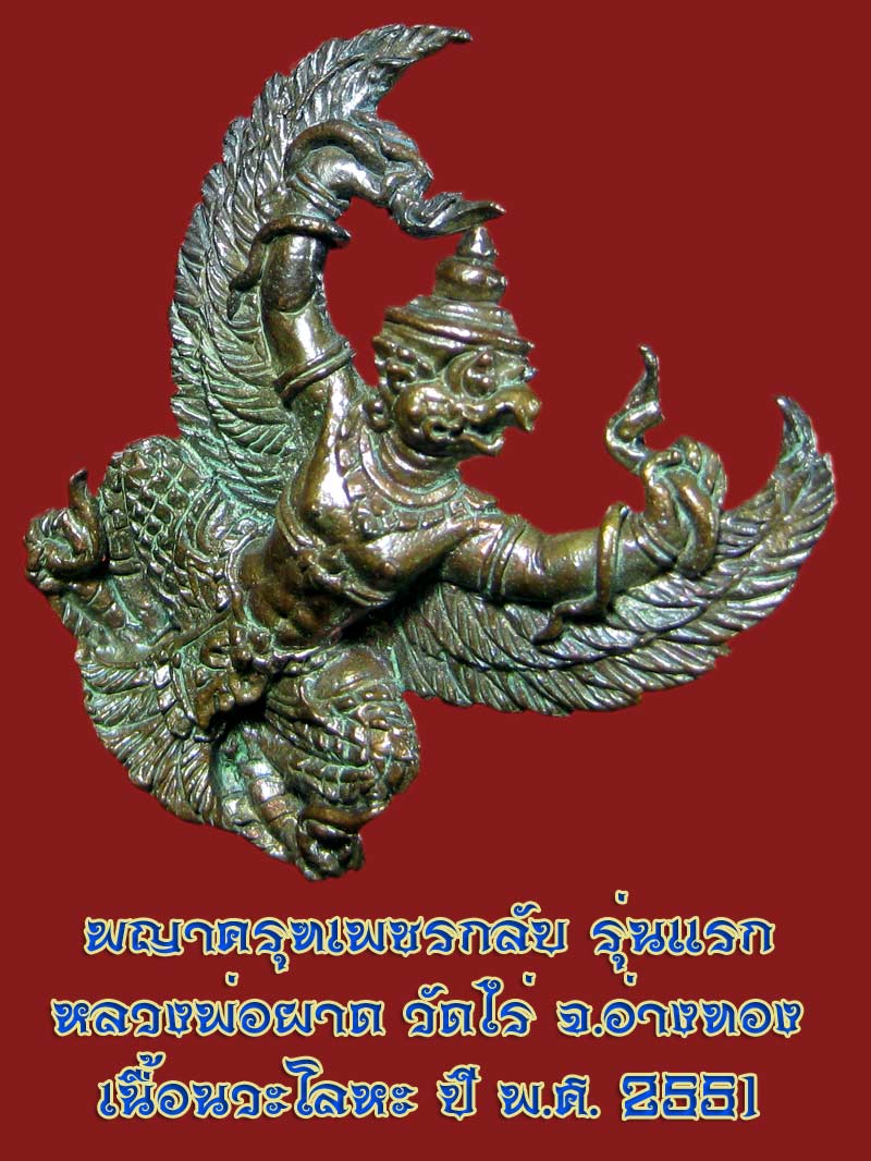 (10) พญาครุฑ รุ่น 1 (เนื้อนวโลหะ) หลวงปู่ผาด วัดไร่ อ่างทอง พ.ศ.2551 - 3