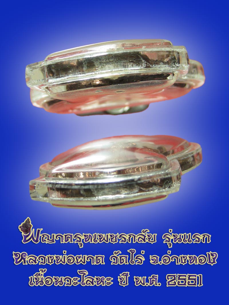 (27) พญาครุฑ รุ่น 1 (เนื้อนวโลหะ) หลวงปู่ผาด วัดไร่ อ่างทอง พ.ศ.2551 - 5