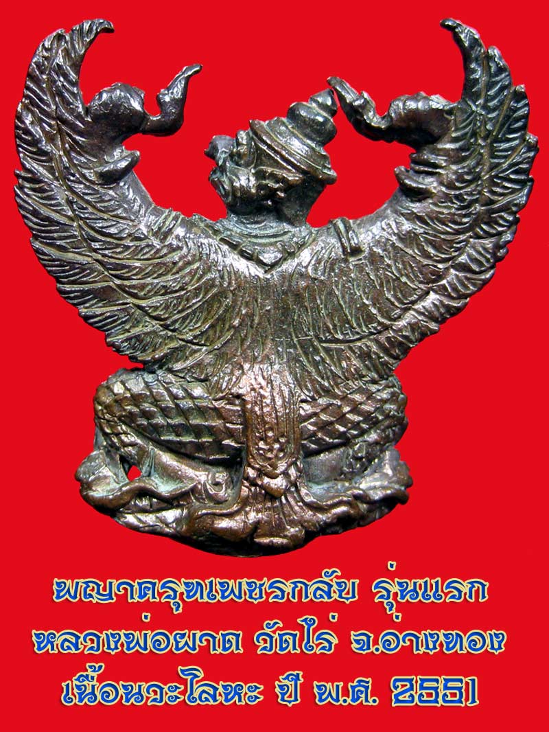 (30) พญาครุฑ รุ่น 1 (เนื้อนวโลหะ) หลวงปู่ผาด วัดไร่ อ่างทอง พ.ศ.2551 - 2