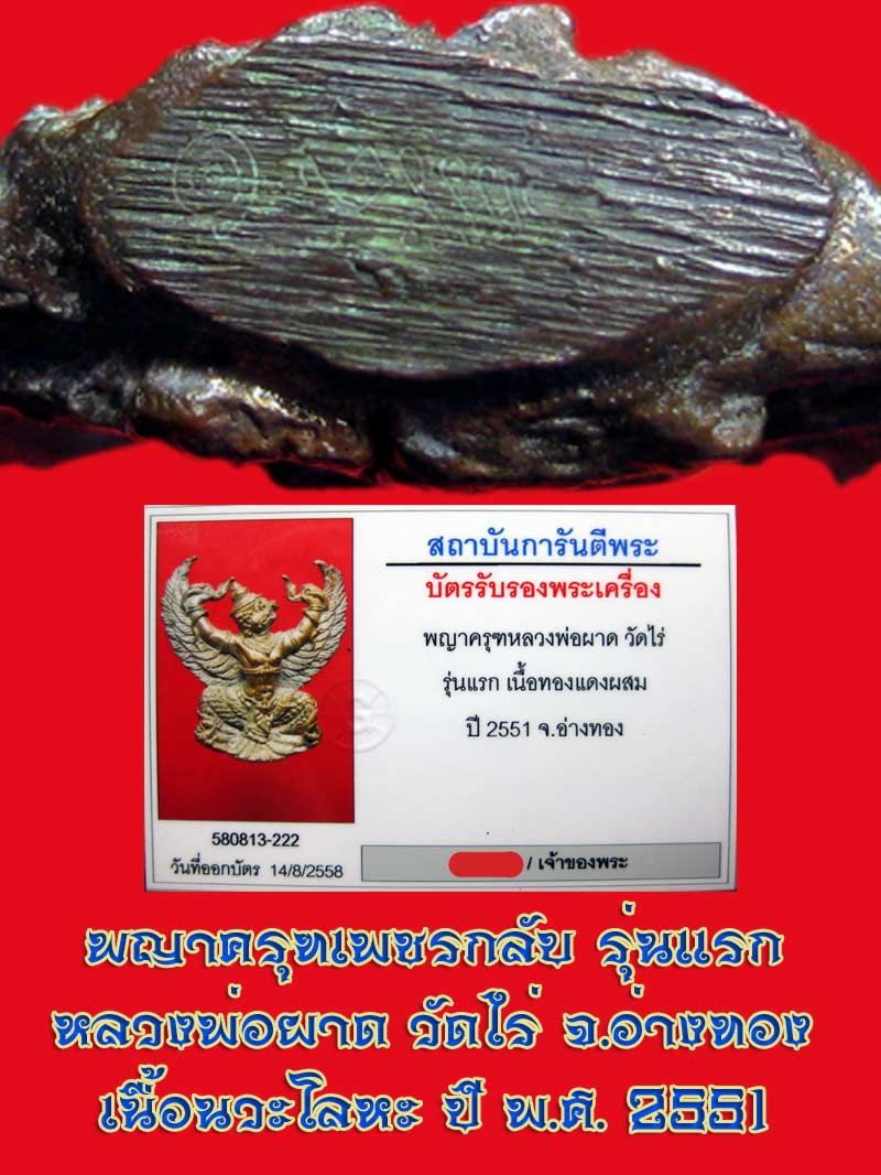 (30) พญาครุฑ รุ่น 1 (เนื้อนวโลหะ) หลวงปู่ผาด วัดไร่ อ่างทอง พ.ศ.2551 - 5