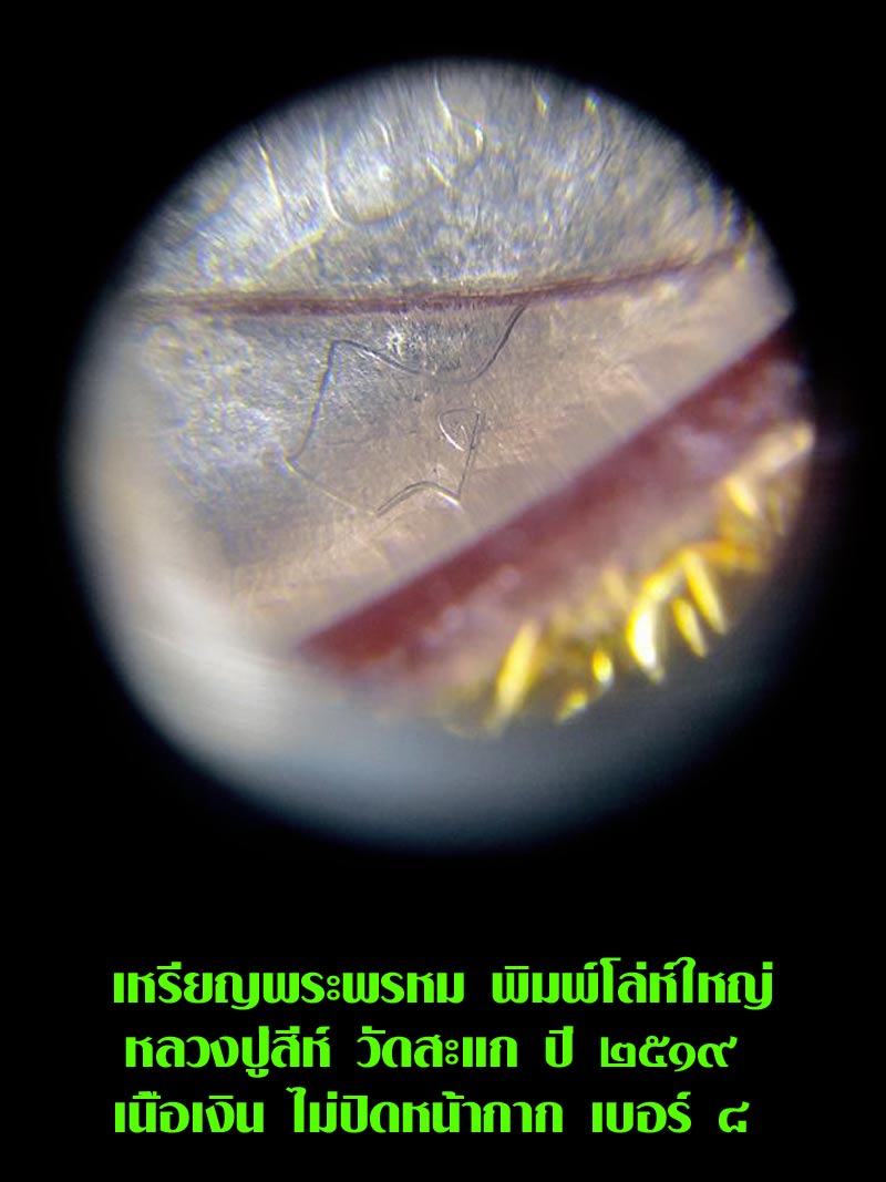 (8) เหรียญพระพรหม พิมพ์โล่ห์ใหญ่ หลวงปู่สีห์ วัดสะแก เนื้อเงิน ไม่ปิดหน้ากาก เบอร์ ๘ เลี่ยมทอง - 3