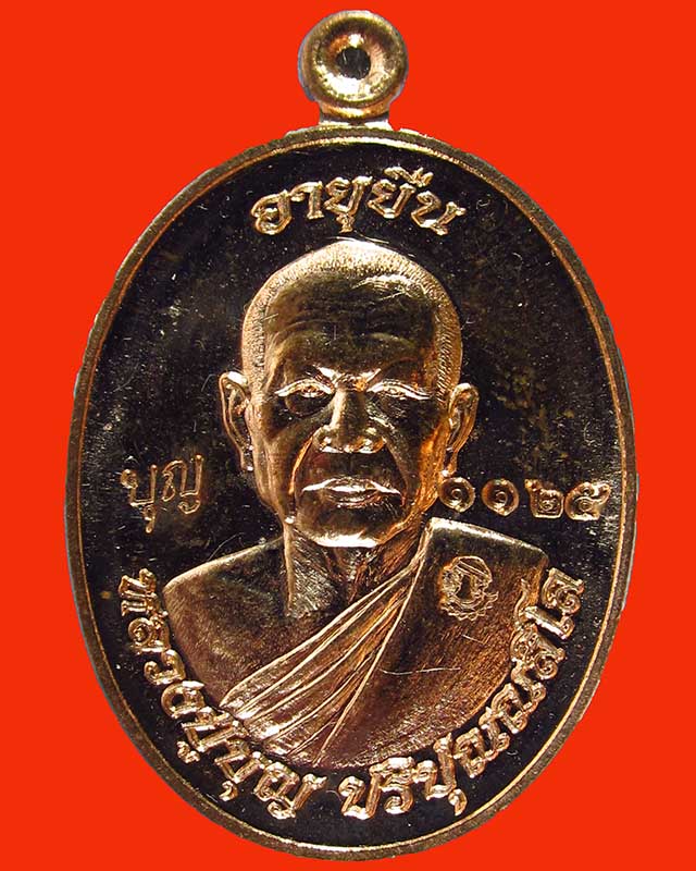 เหรียญอายุยืนบน หลวงปู่บุญ วัดปอแดง (สวนนิพพาน)นครราชสีมา  เนื้อทองแดงผิวไฟ เลข 1125  2โค๊ด ปี 58  - 1