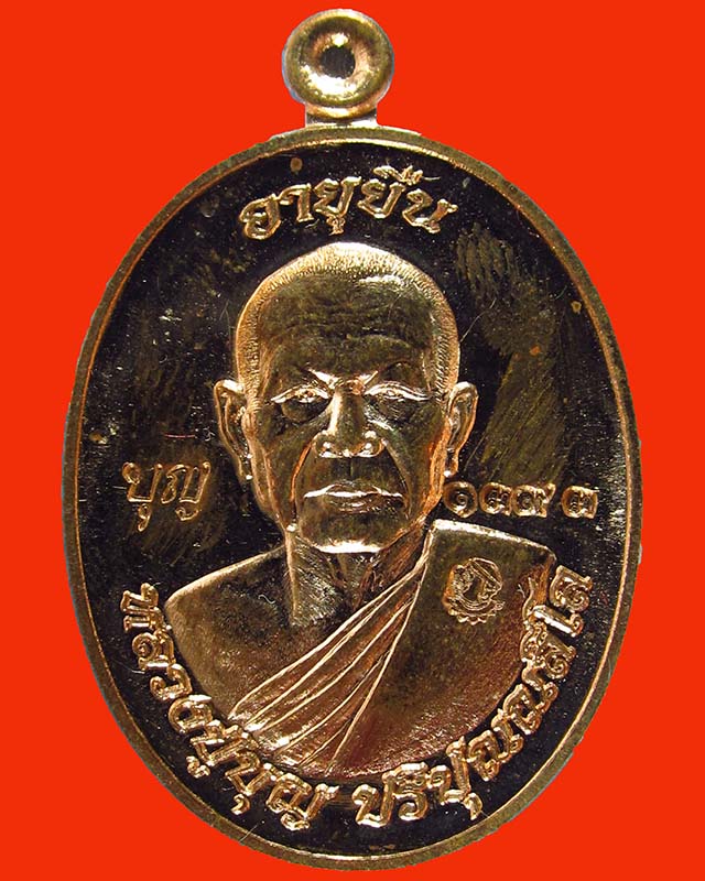 เหรียญอายุยืนบน หลวงปู่บุญ วัดปอแดง (สวนนิพพาน)นครราชสีมา  เนื้อทองแดงผิวไฟ เลข 1393  2โค๊ด ปี 58  - 1