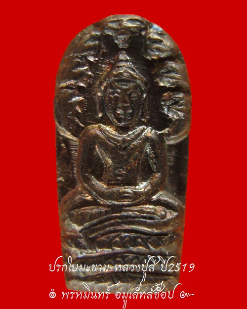 พระนาคปรกใบมะขาม หลวงปู่สี ปี 2519 - 1