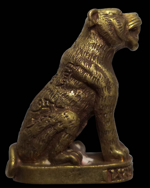 เสือเสาร์๕ เนื้อทองระฆัง ปี2536 หลวงพ่อเปิ่น วัดบางพระ  - 1