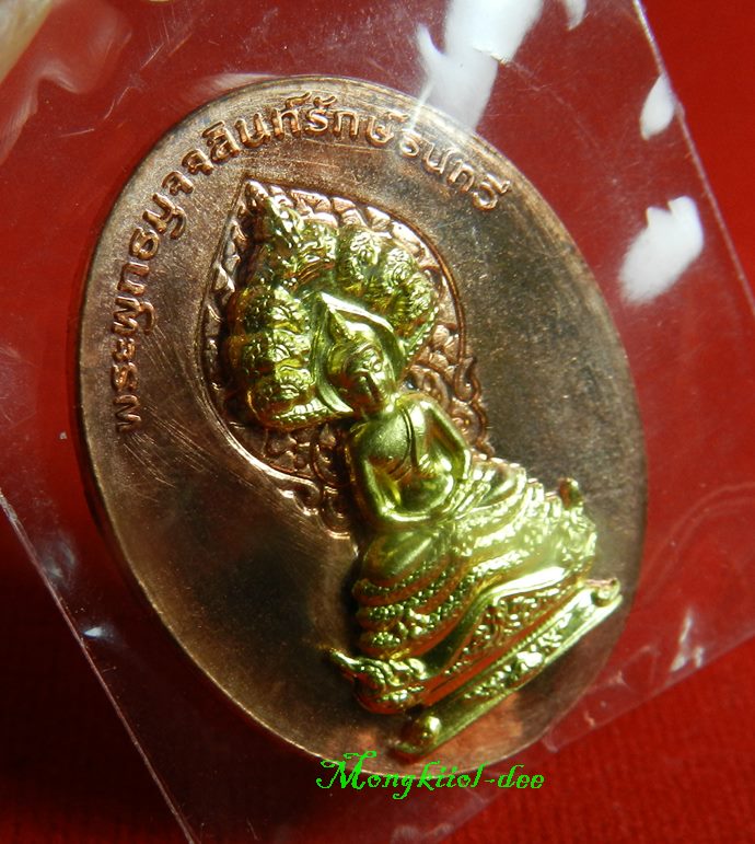 เหรียญพระพุทธมุจจลินท์ (พระนาคปรก) รุ่นมุจจลินท์มหาโภคทรัพย์ จ.อยุธยา เนื้อชนวนหน้าทองระฆัง#1276  - 2