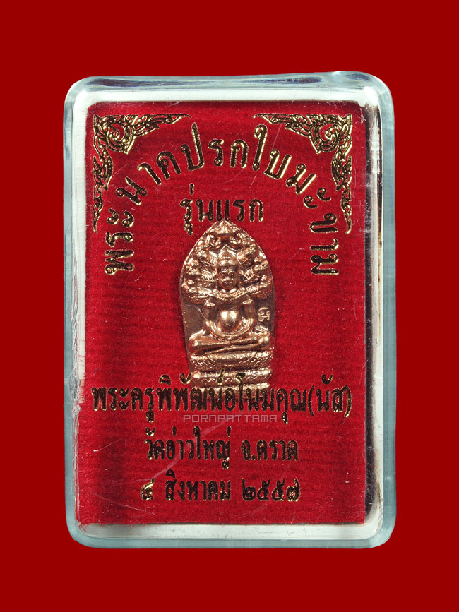 พระนาคปรกใบมะขาม รุ่นแรก เนื้อทองแดง หลวงพ่อนัส วัดอ่าวใหญ่ จ.ตราด #1 - 3