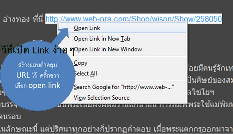 สมเด็จเยี่ยวชะนี หลวงพ่อตัด วัดชายนา รุ่นแรก ๒๕๔๘ - 5