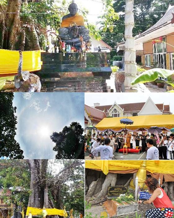 ปั๊มหลังเตารีด หลวงพ่อทวด รุ่นปาฏิหาริย์ หลวงพ่อทวด ต้นเลียบ ปี56 เนื้อนวโลหะ (หลังหนังสือ) เบอร์๓๓๓ - 3
