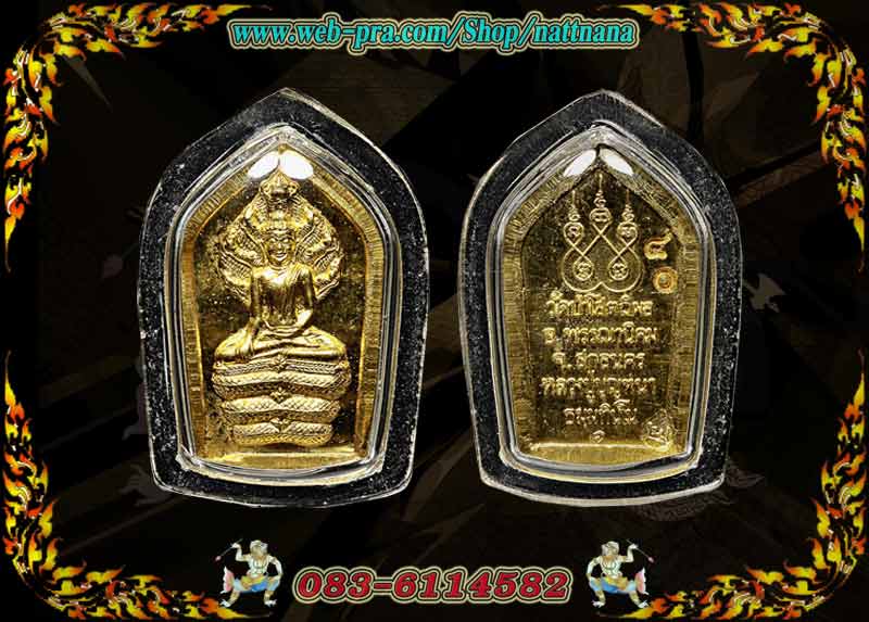 เหรียญนาคปรกรุ่นแรก หลวงปู่บุญหนา ธัมมทินโน เนื้อทองคำ ครับ - 1