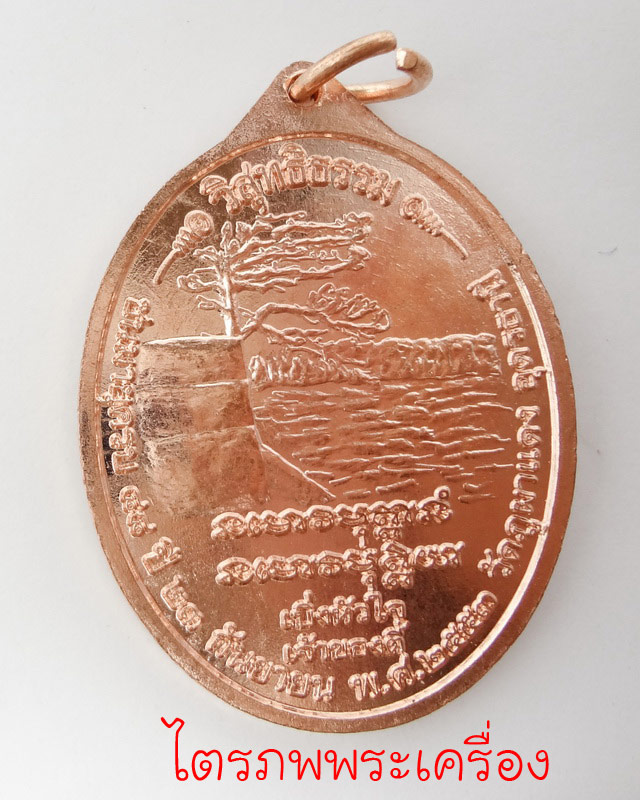 เหรียญหลวงปู่ลี  กุสลธโล รุ่นวิสุทธิธรรม ปี 2553 (2) - 2