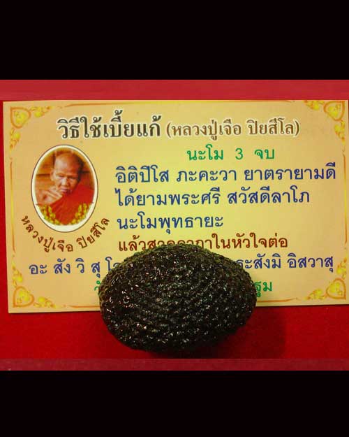 เบี้ยแก้ ถักเชือกหุ้ม จุ่มลัก หลวงปู่เจือ วัดกลางบางแก้ว - 3