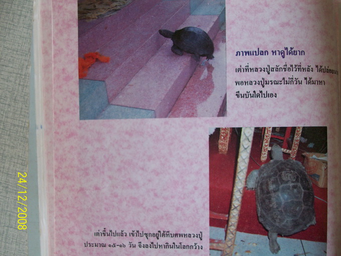 พระสมเด็จฐาน 3 ชั้น หลังรูปเหมือน หลวงปู่ผล วัดเทียนดัด จ.นครปฐม - 5