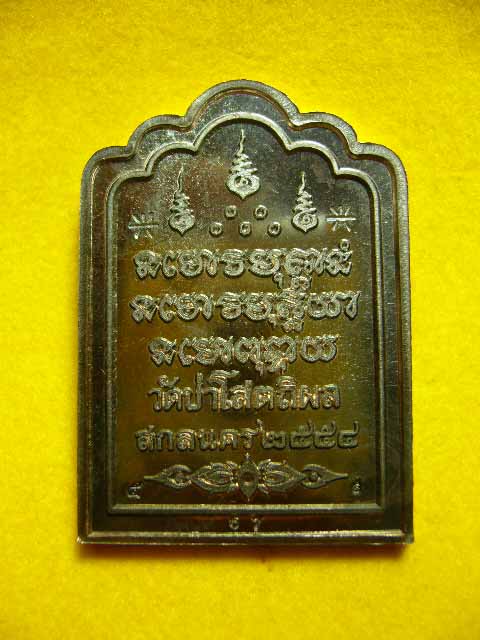 เหรียญซุ้มร่ำรวยหลวงตาบุญหนา วัดป่าโสตถิผล เนื้อนวะ หมายเลข 67 - 2