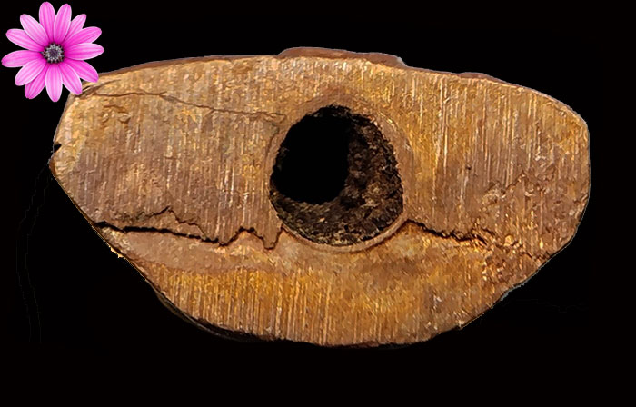 พระชัยวัฒน์พ่อท่านลี วัดอโศการาม จ.สมุทรปราการ ปี2500 - 3