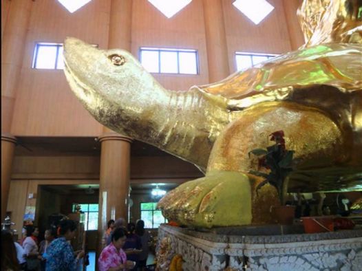 เหรียญเสาร์ห้า หลวงปู่หลิว วัดไร่แตงทอง ปี 2536 - 3