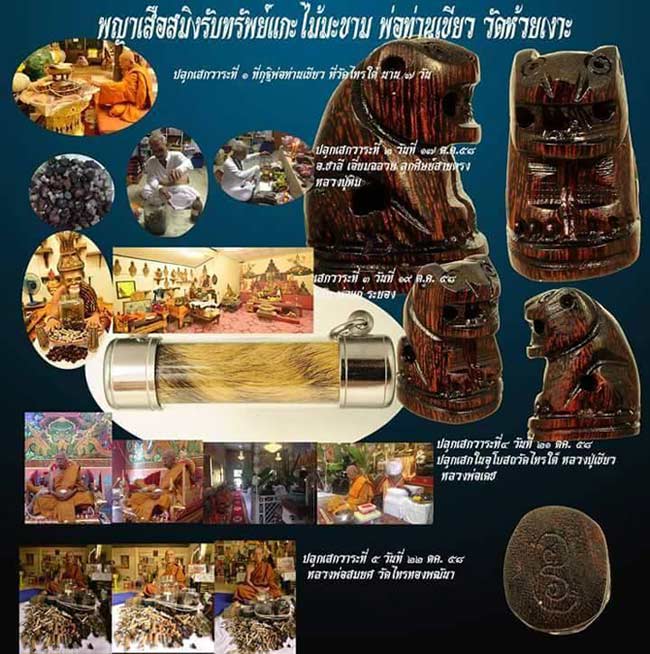 พญาเสือสมิงรับทรัพย์ 2 ตัว เขาควายเผือก + ไม้แก่นมะขาม หลวงปู่เขียว วัดห้วยเงาะ - 4
