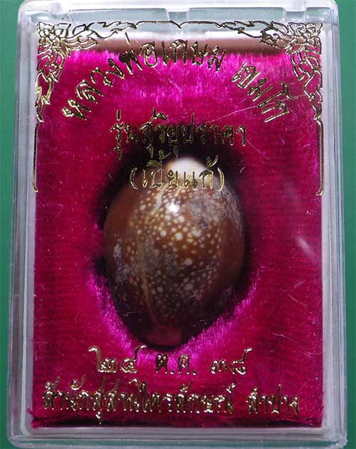 เบี้ยแก้.... หลวงพ่อเกษม เขมโก สุสานไตรลักษณ์ รุ่นสุริยุปราคา พ.ศ.2538... - 3