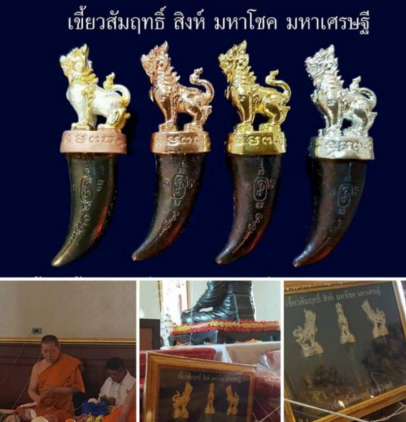 เขี้ยวสัมฤทธิ์สิงห์มหาโชค มหาเศรษฐี เจ้าคุณธงชัย วัดไตรมิตร ปี 59 ขนาด 2 นิ้ว เนื้อกะไหล่ทอง + กล่อง - 5