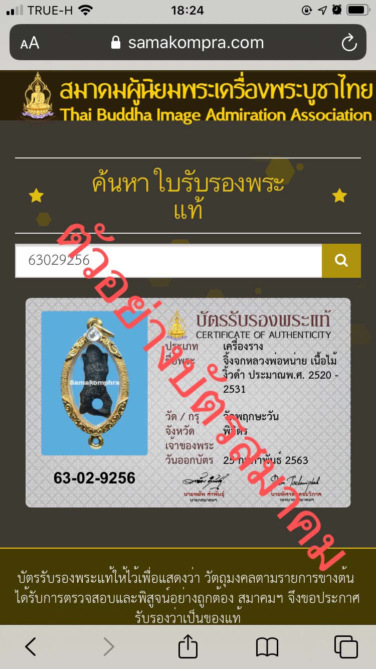 จิ้งจกหลวงปู่หน่าย วัดบ้านแจ้ง ศิลป์พิจิตร - 5