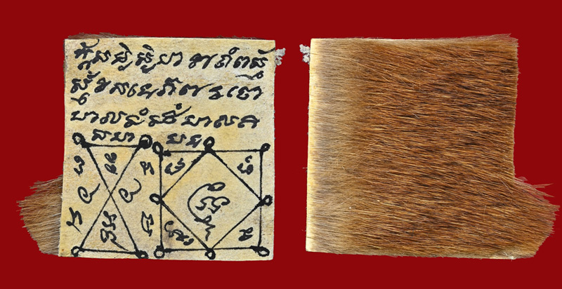 ตะกรุดหนังหน้าผากเสือหลวงปู่หน่าย วัดบ้านแจ้ง - 1