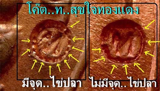 เหรียญพญาเต่าเรือน หลวงปู่หลิว วัดไร่แตงทอง จ.นครปฐม รุ่นสุขใจ เนื้อทองแดง ปี 2537 บล๊อกปากขีด แดงๆ - 3