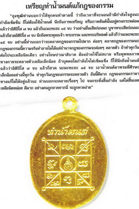 เหรียญทำน้ำมนต์ หลวงพ่อฤาษีลิงดำ วัดท่าซุง อุทัยธานี - 2