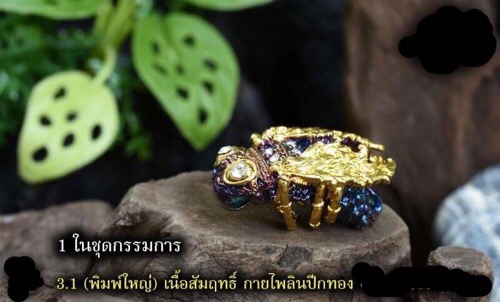 แมลงภู่คำ - 2