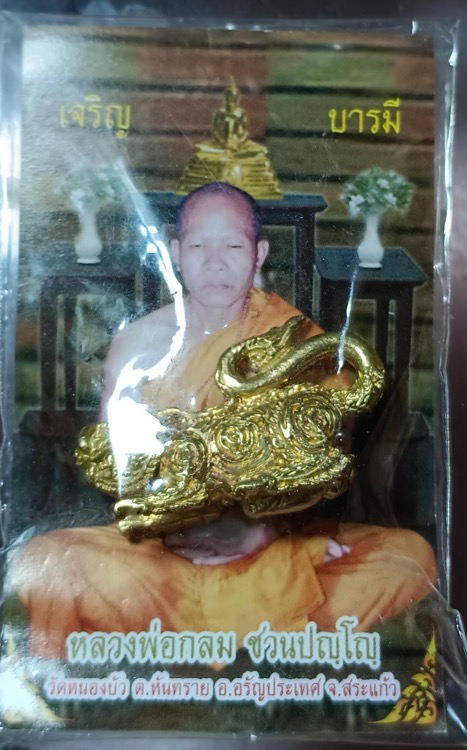 ปลัดเพชรพญาธรหลวงพ่อกลม วัดหนองบัว ปี2555 - 5