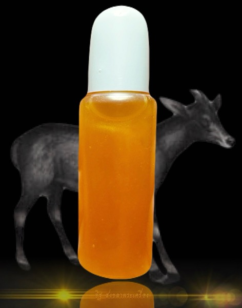 น้ำมัuเลียงผาหลวงพ่อคง วัดวังสรรพรส จ.จันทบุรี - 3