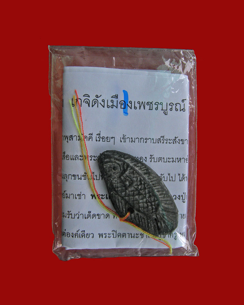ปลาเสือตัวครูรับโชคหนุนดวง เนื้อพิกุล 2559 หลวงปู่กาหลง วัดน้ำพุสามัคคคี/เพชรบูรณ์ (1) - 4