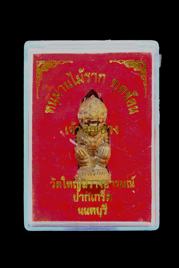 หนุมานหลวงพ่ออ่าง วัดใหญ่สว่างอารมณ์ นนทบุรี - 5